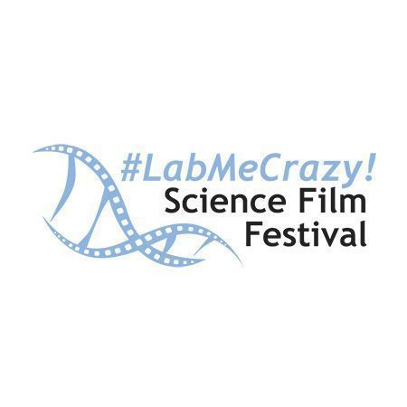 Logo Festival Labmecrazy